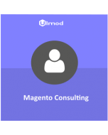 Magento 2 Consulting Services