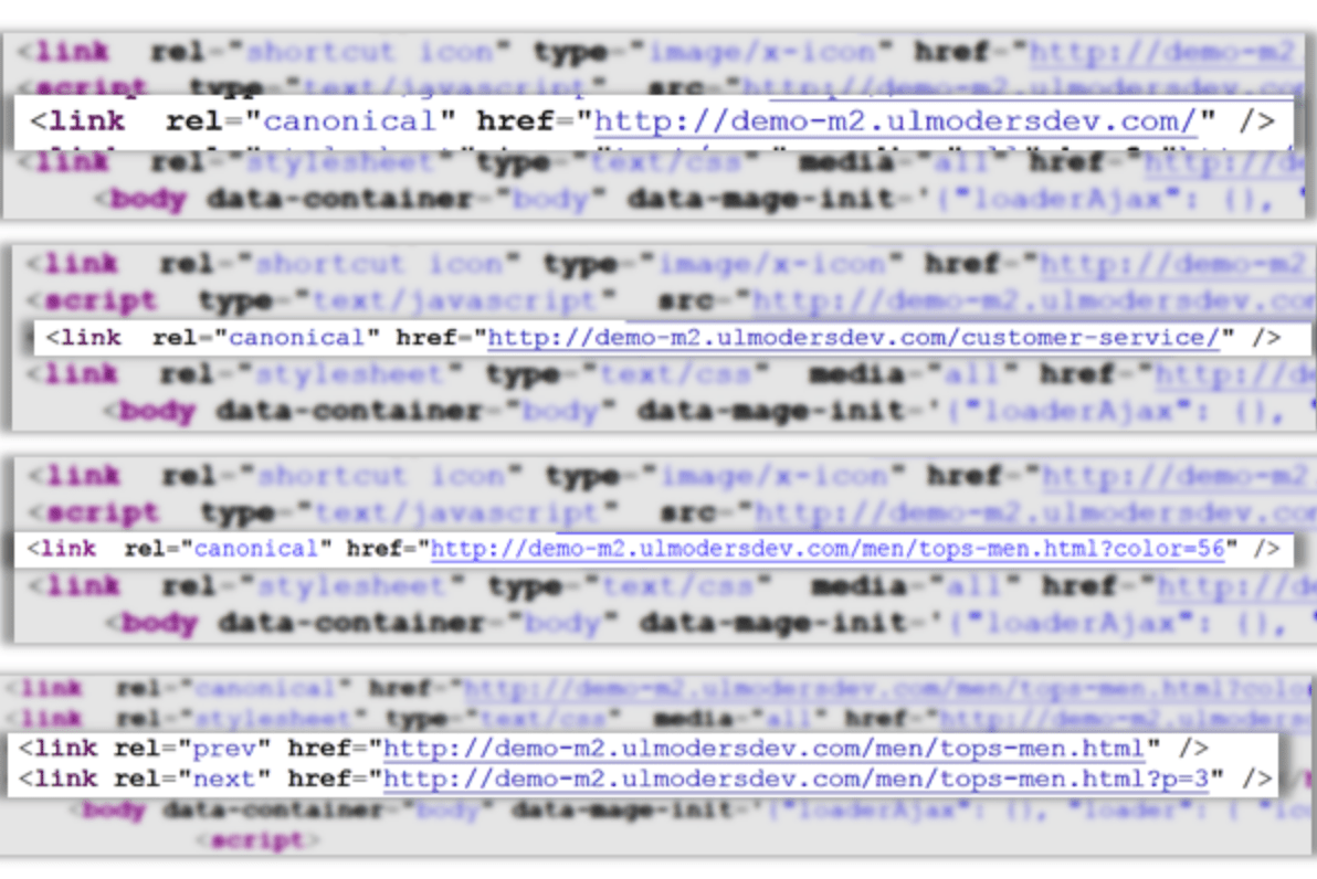 canonical meta tag features