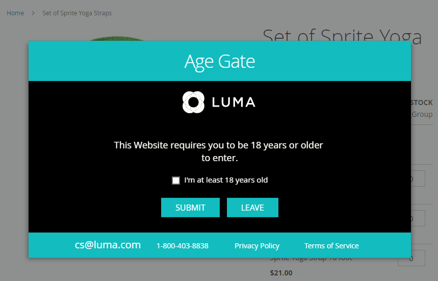 Age gate inputs layout